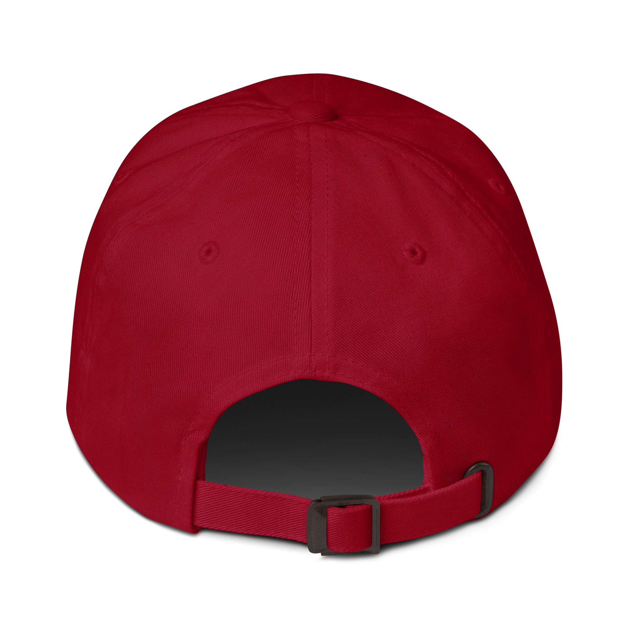 Casquette “Make Switzerland Always Great” – Image 8